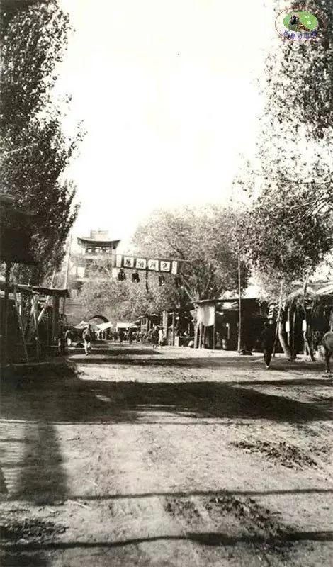 新疆，神秘绿洲，探索之旅启程